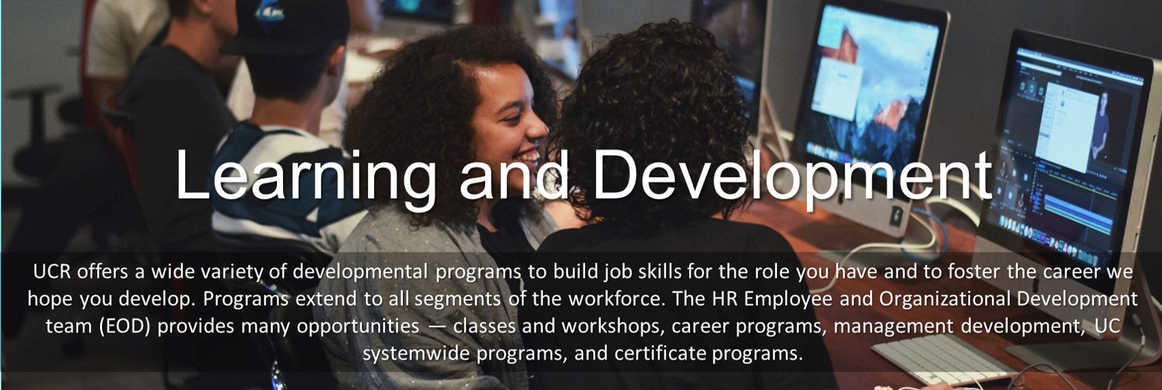 Learning and Development banner