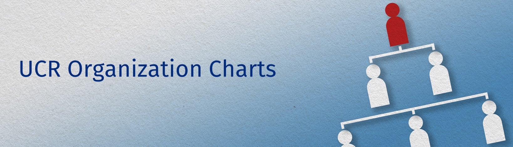 Organization Chart banner image