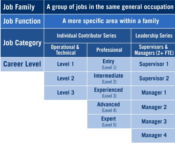 career-tracks-structure-illustration