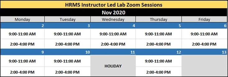 HRMS Instructor-Led Lab Zoom Sessions